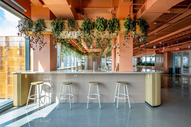 A bright contemporary commercial interior featuring a long curved bar or reception counter with vertical ribbed timber-look panelling and a pale benchtop. Several minimalist stools line the counter. Large floor-to-ceiling windows provide abundant daylight, while suspended trailing plants, exposed services, warm peach-orange structural columns, and polished grey flooring create a lively modern workplace or hospitality setting.