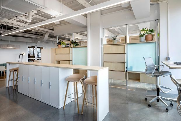 Bright contemporary open-plan commercial office with a polished concrete floor, exposed services and white-painted ceiling, extensive glazing, and pale timber built-in storage. A long white island workstation with integrated cabinet storage and timber bar stools occupies the foreground, while a white desk, ergonomic office chair, and indoor plants define the work area.