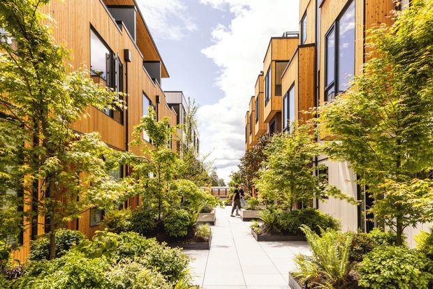 A landscaped pedestrian walkway runs between two rows of contemporary multi-storey residential buildings. The buildings feature warm vertical timber cladding, dark-framed floor-to-ceiling windows, projecting box-like forms, and flat rooflines. Dense planted gardens, shrubs, and small trees soften the pathway, creating a bright, leafy communal courtyard setting.