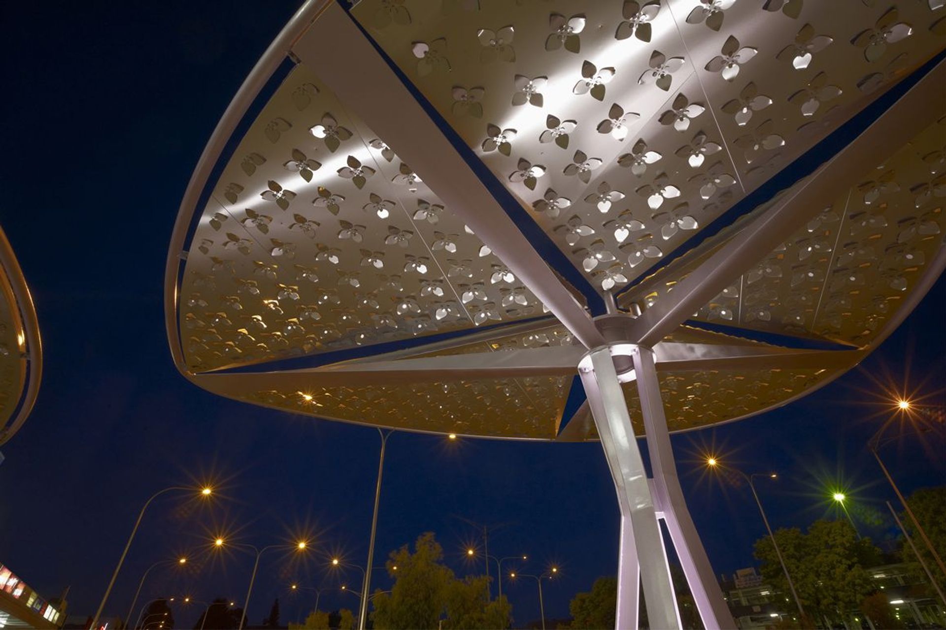 Boronia Structures