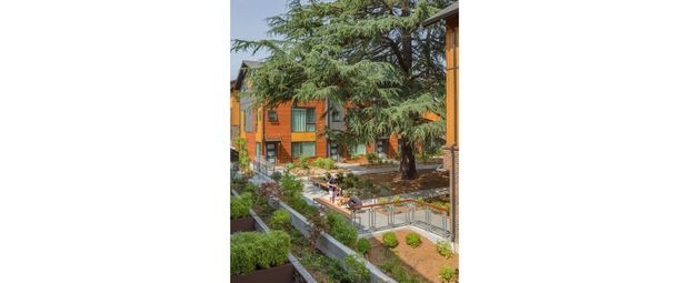 A landscaped residential or institutional courtyard viewed from an elevated position, with orange-brown multi-storey buildings, balconies, extensive planting, paved paths, raised garden beds, seating areas, and a large mature evergreen tree. The image has a bright, warm, contemporary outdoor character.