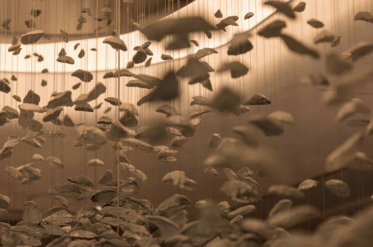 Corrs Chambers Westgarth, for Electrolight, Sydney.