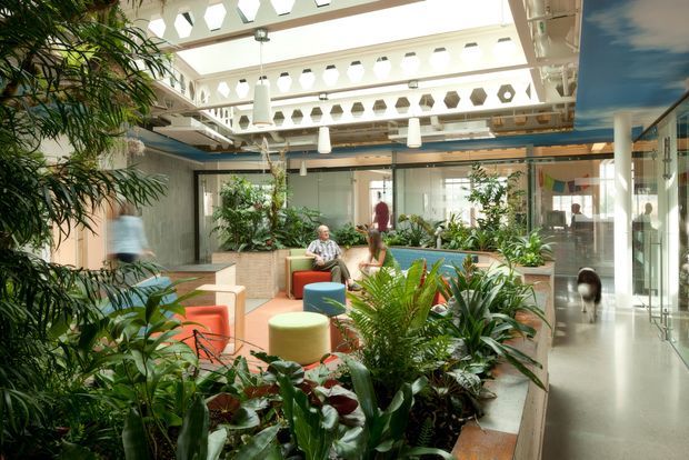 A bright, plant-filled interior atrium or communal lounge with extensive indoor tropical planting, colourful low lounge seating, glazed partitions, and a distinctive white geometric clerestory and roof structure. The space has a polished contemporary institutional or commercial character, with abundant daylight and exposed structural detailing.