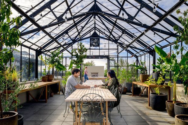 A bright, glass-enclosed conservatory or greenhouse-style dining space with a prominent black steel structural frame and pitched glazed roof. Large potted tropical and leafy plants line both sides, while a long timber dining table with metal chairs occupies the centre. People are seated at the table, and a fireplace-like feature is visible at the far end. The space feels airy, relaxed, and biophilic.