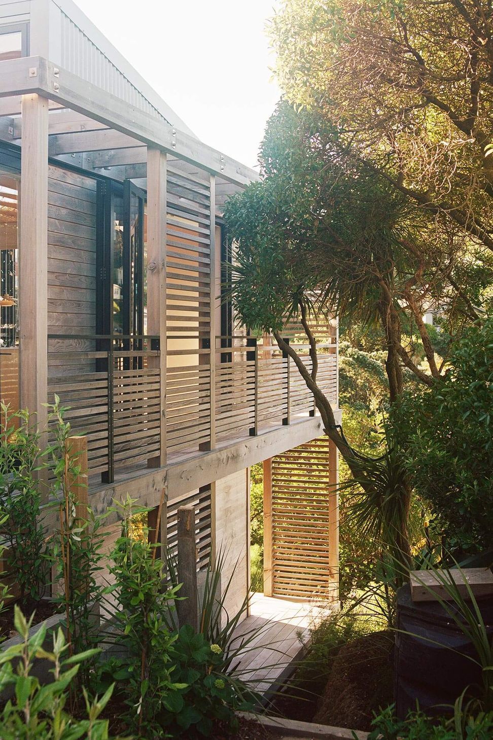 Beach Forest House