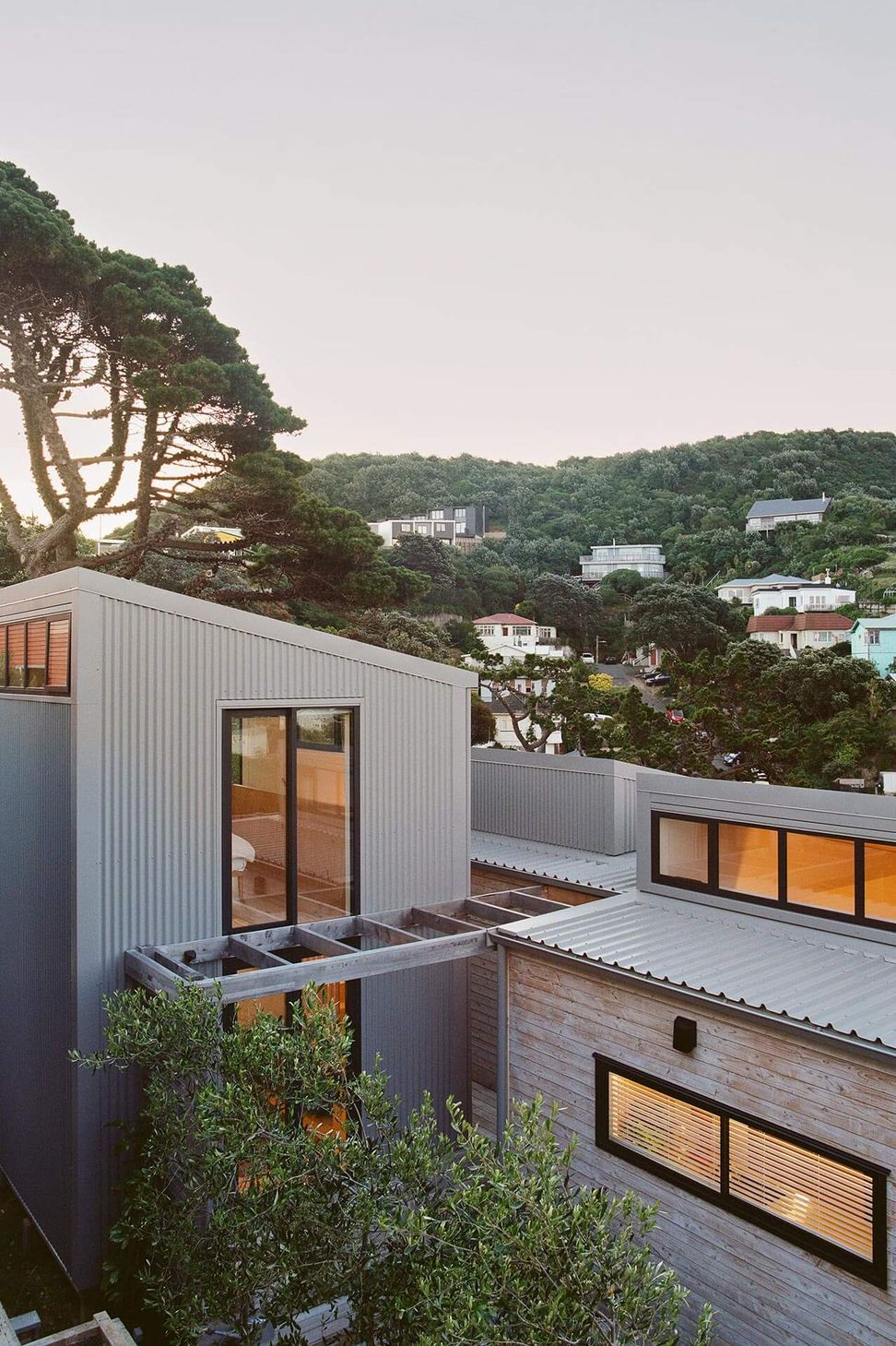 Beach Forest House