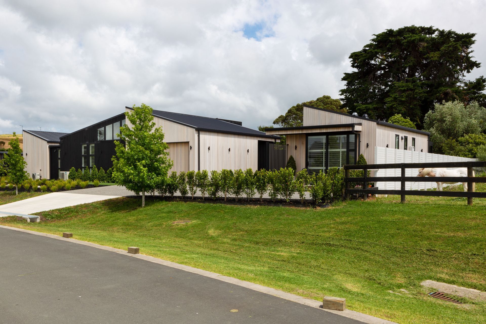 Matakana - Lot 11