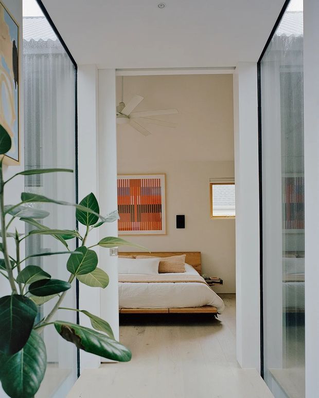 A bright, narrow interior passage framed by full-height glass panels leads directly into a minimalist bedroom. The bedroom contains a low timber platform bed with white bedding, a simple bedside surface, a ceiling fan, a small horizontal window, and a colourful geometric artwork. A large leafy indoor plant occupies the foreground, adding an organic element to the otherwise restrained white and beige scheme.