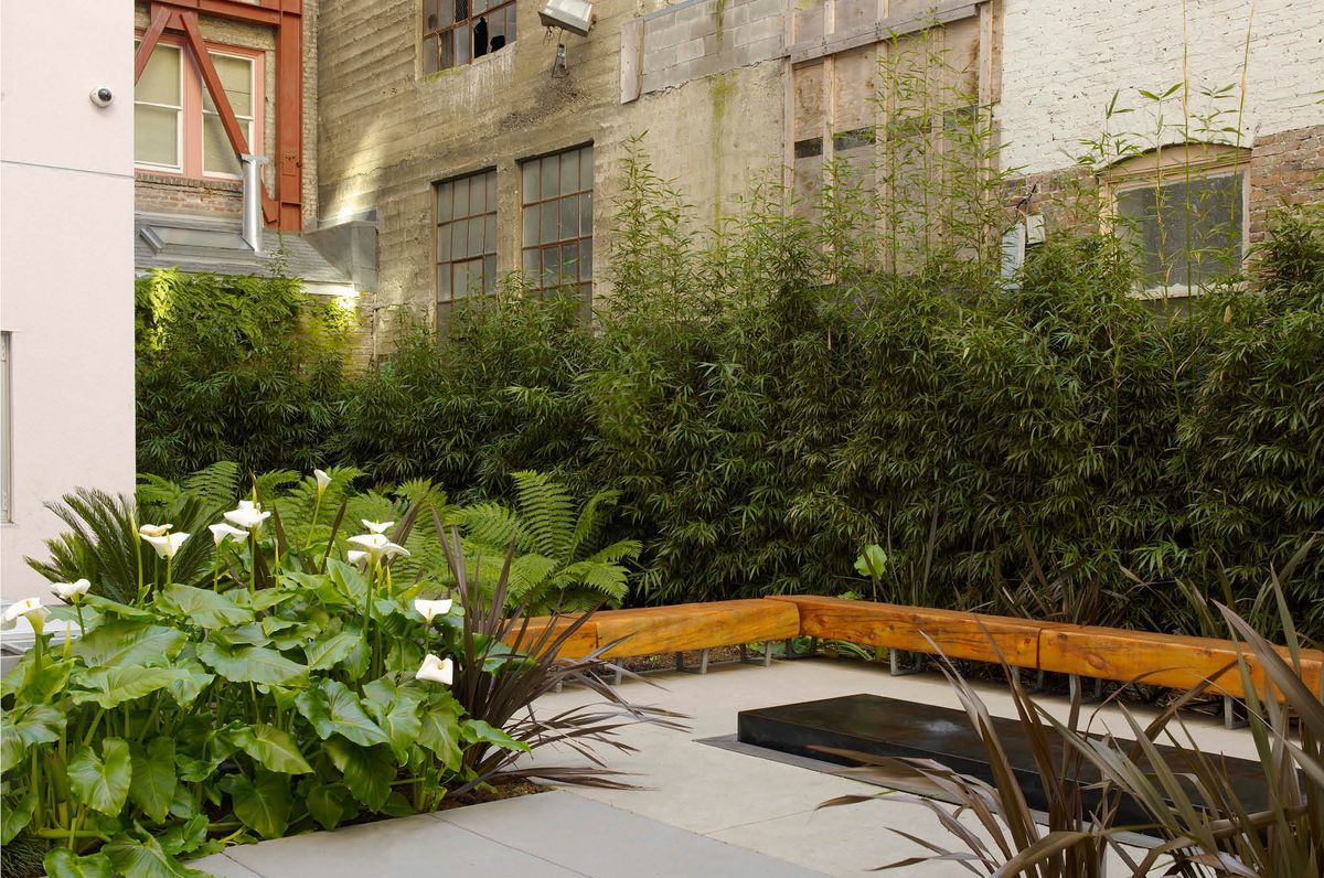 Space to Breathe | Curran House