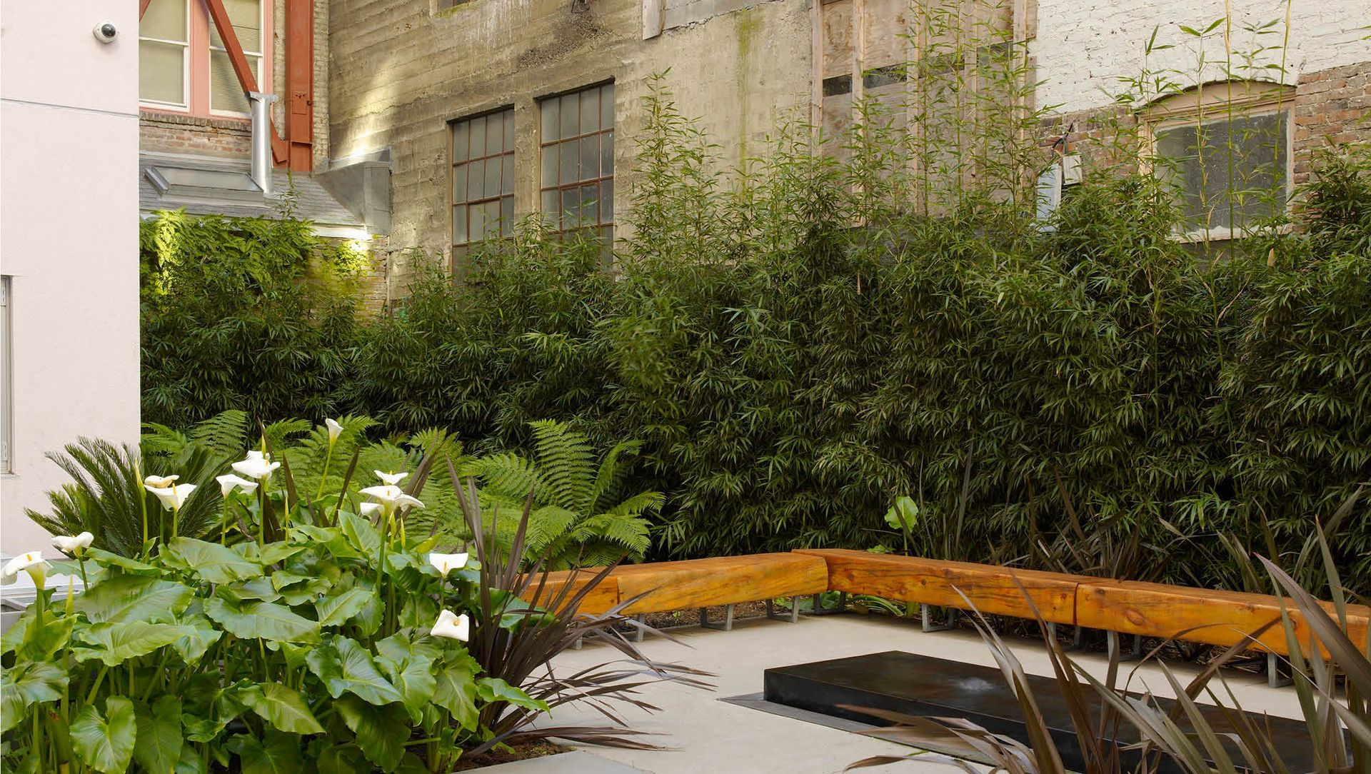 Space to Breathe | Curran House banner
