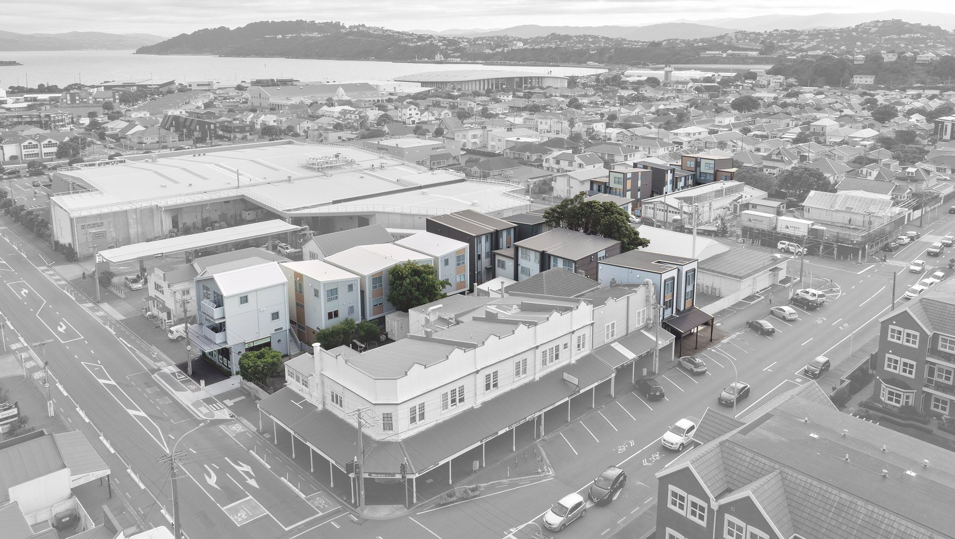 Mahora Te Aroha