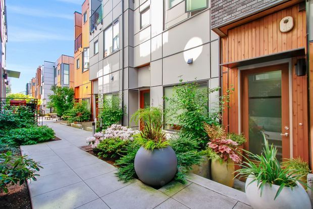 A landscaped pedestrian walkway runs through a contemporary multi-storey residential development. The facades combine grey panel cladding, exposed brick, colourful vertical sections, large windows, and warm timber entry surrounds. Dense planting and oversized round planters soften the paved path, creating a bright, inviting urban courtyard-like setting.