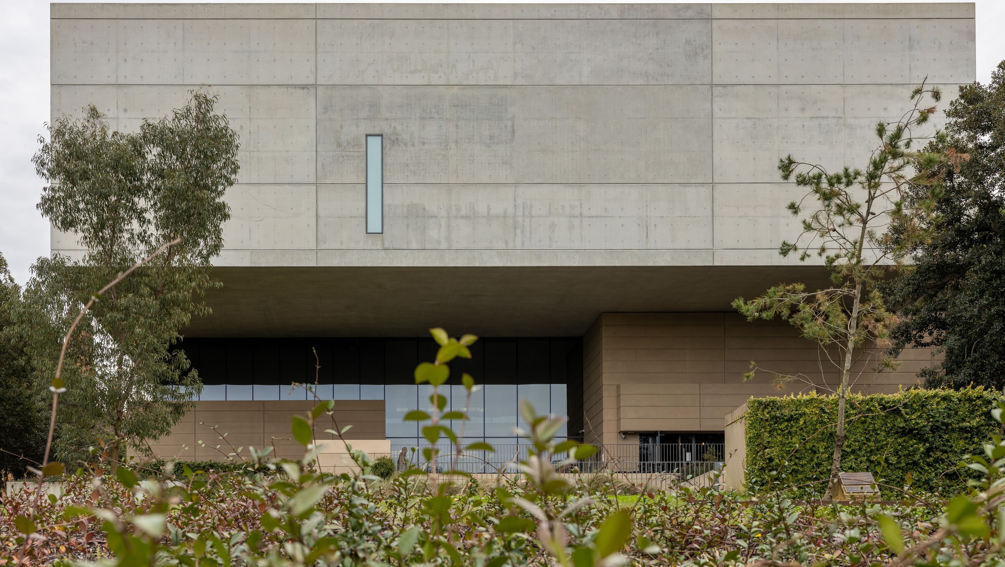 Chau Chak Wing Museum