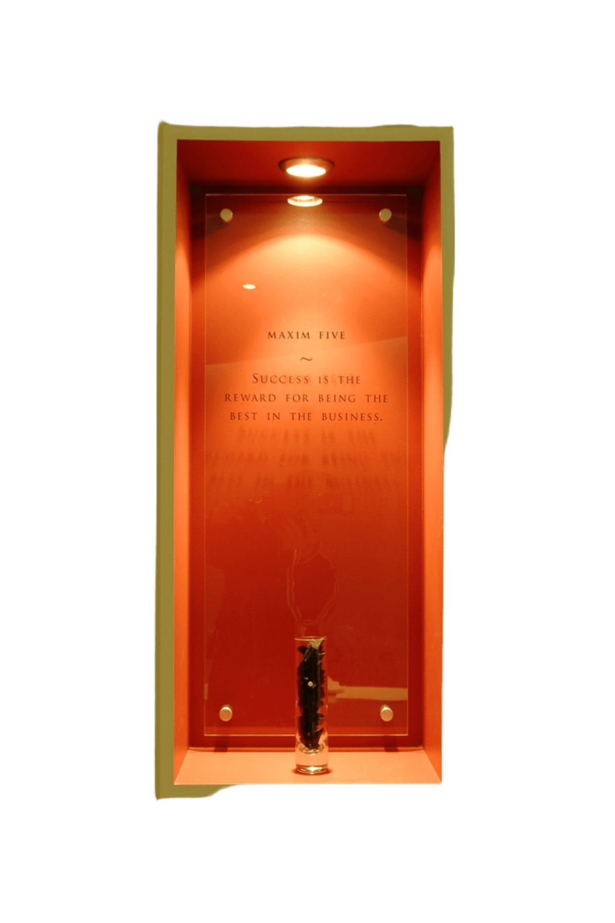 1791182409253-4f17f78f68bcd631c714be29fede4c34.png