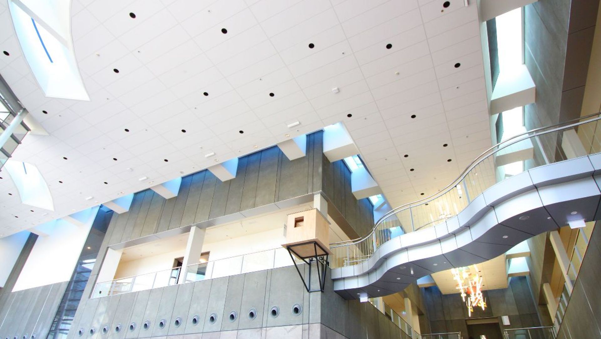 C Max at Christchurch Art Gallery banner