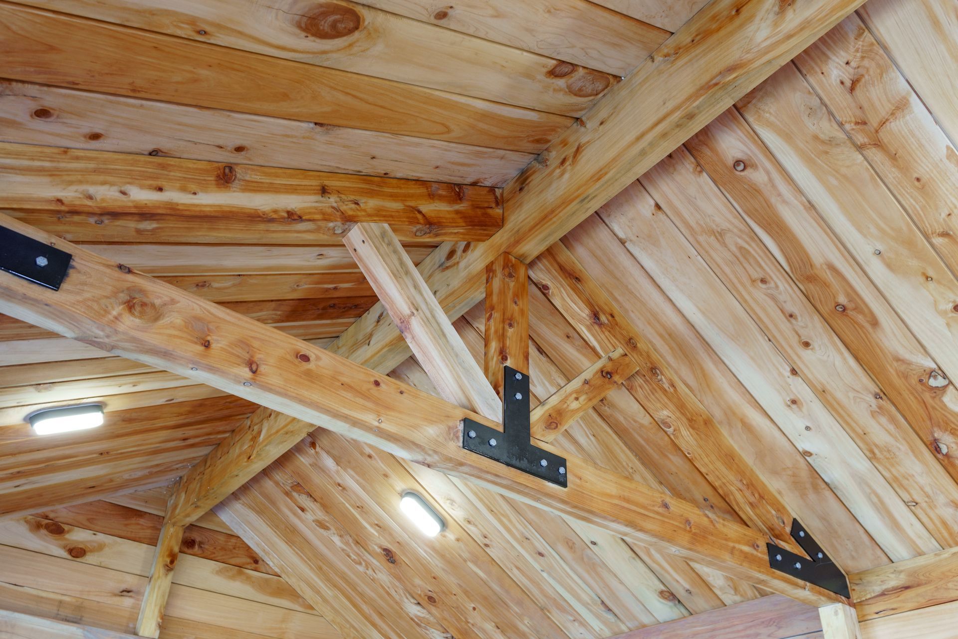 Cabin Build