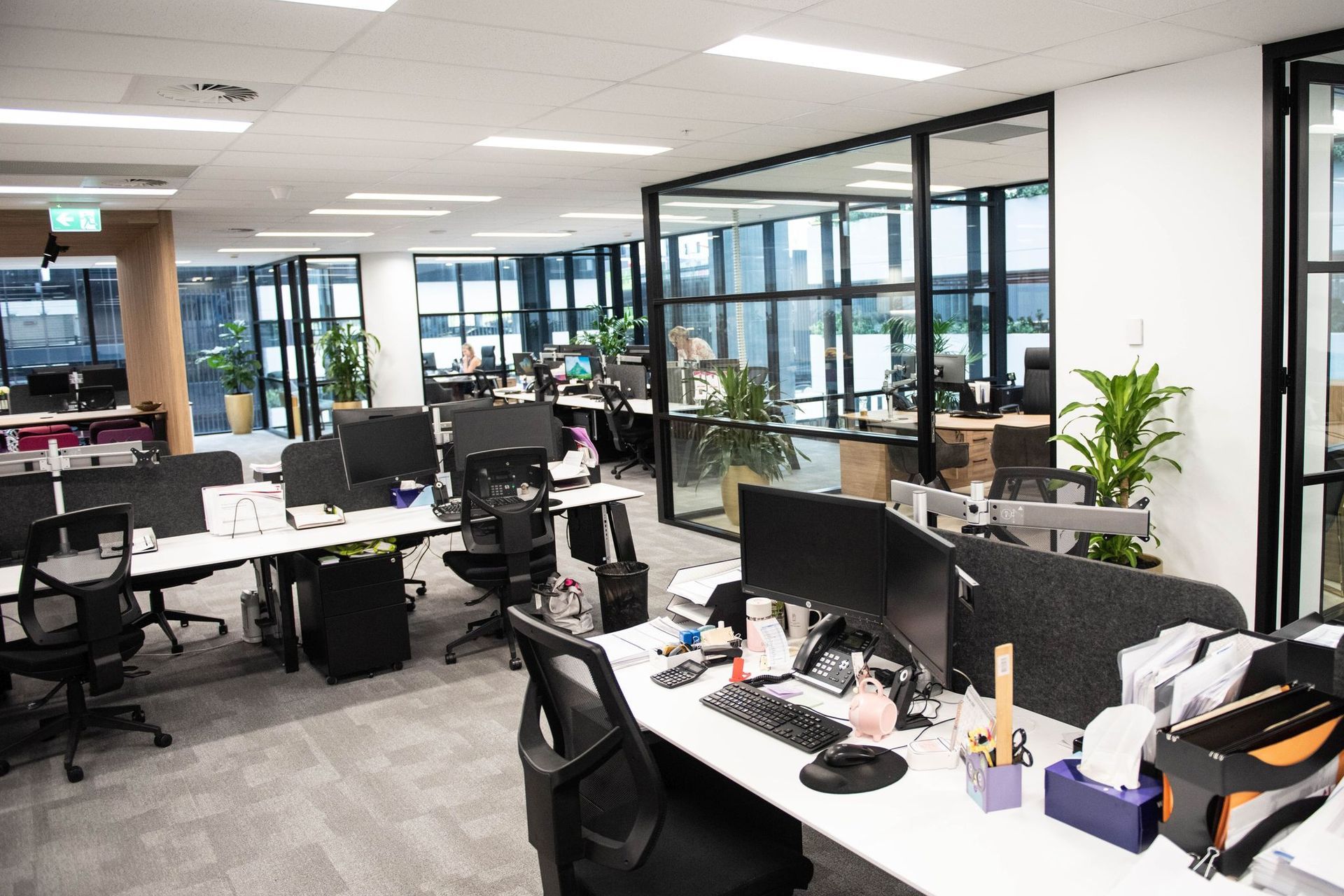 Mascot Office