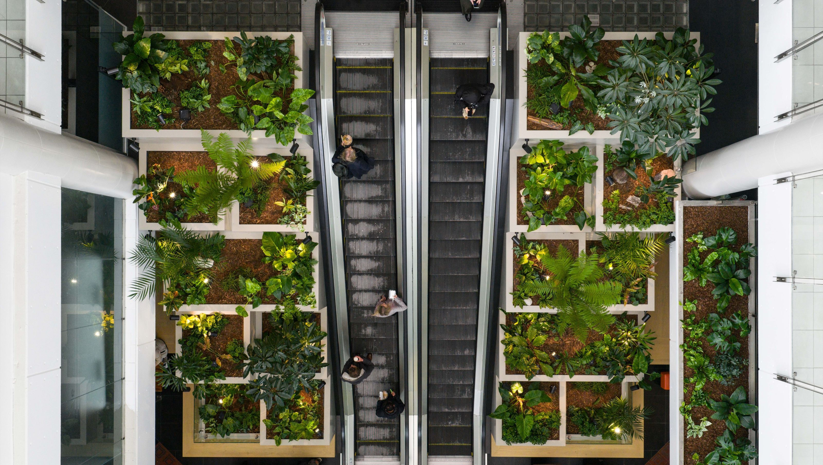Majestic Centre, WLG