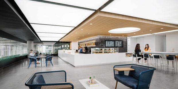 A bright contemporary commercial café or hospitality interior with an open service counter and bar, menu boards, seating areas, and a large geometric ceiling feature. The space combines polished concrete flooring, white counters, dark textured wall surfaces, extensive glazing, and warm timber ceiling panelling. Blue upholstered lounge chairs and café tables provide seating, while linear and recessed lighting create an airy, refined atmosphere.