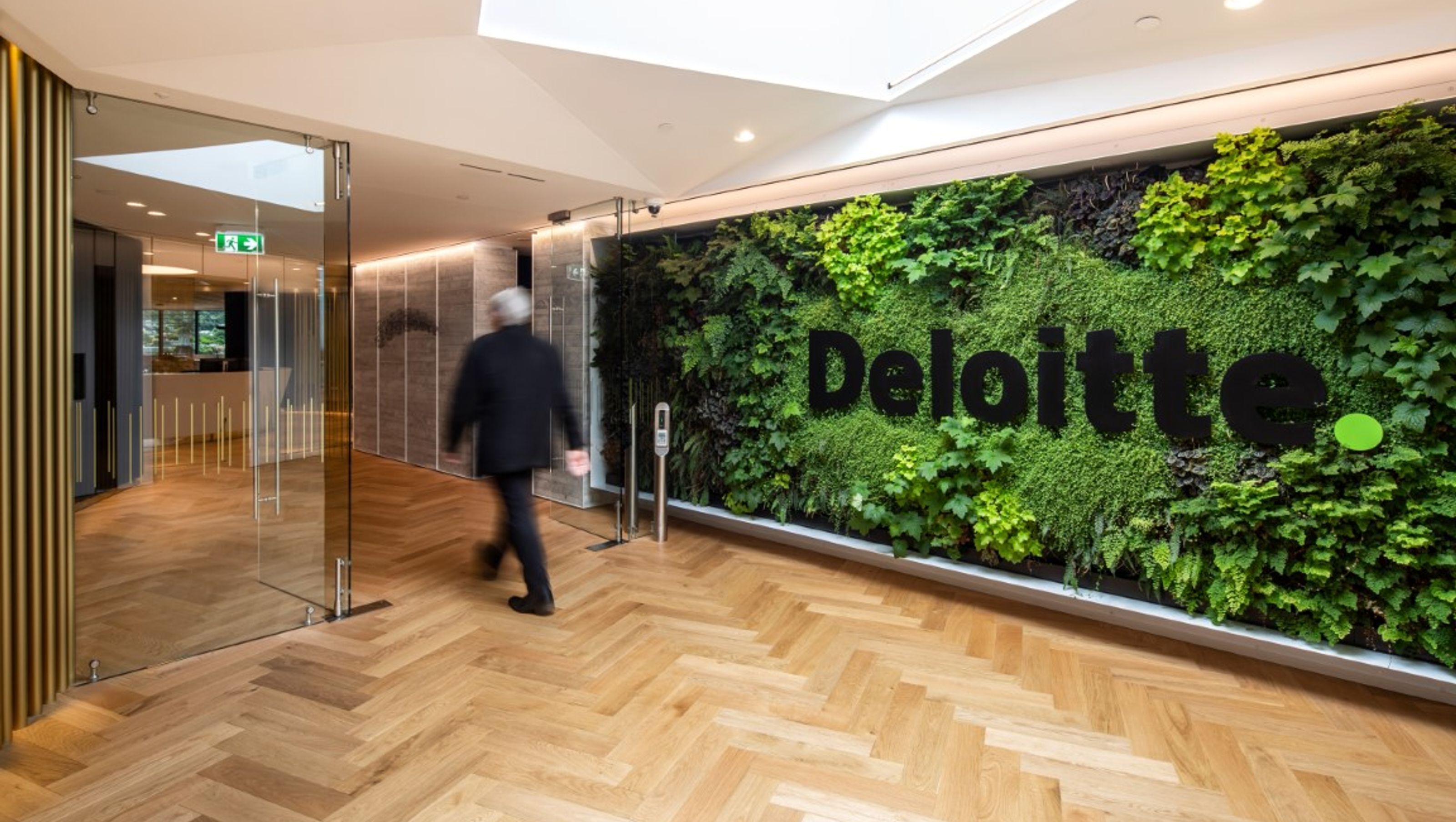 Deloitte Dunedin