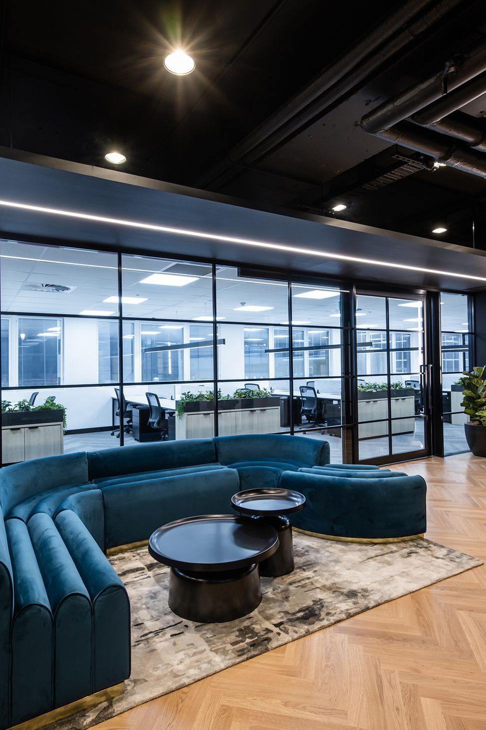 Avant-Garde Office Fitout, QLD