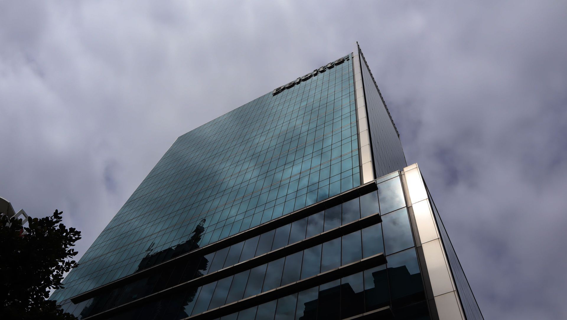 BNZ Deloitte Centre banner