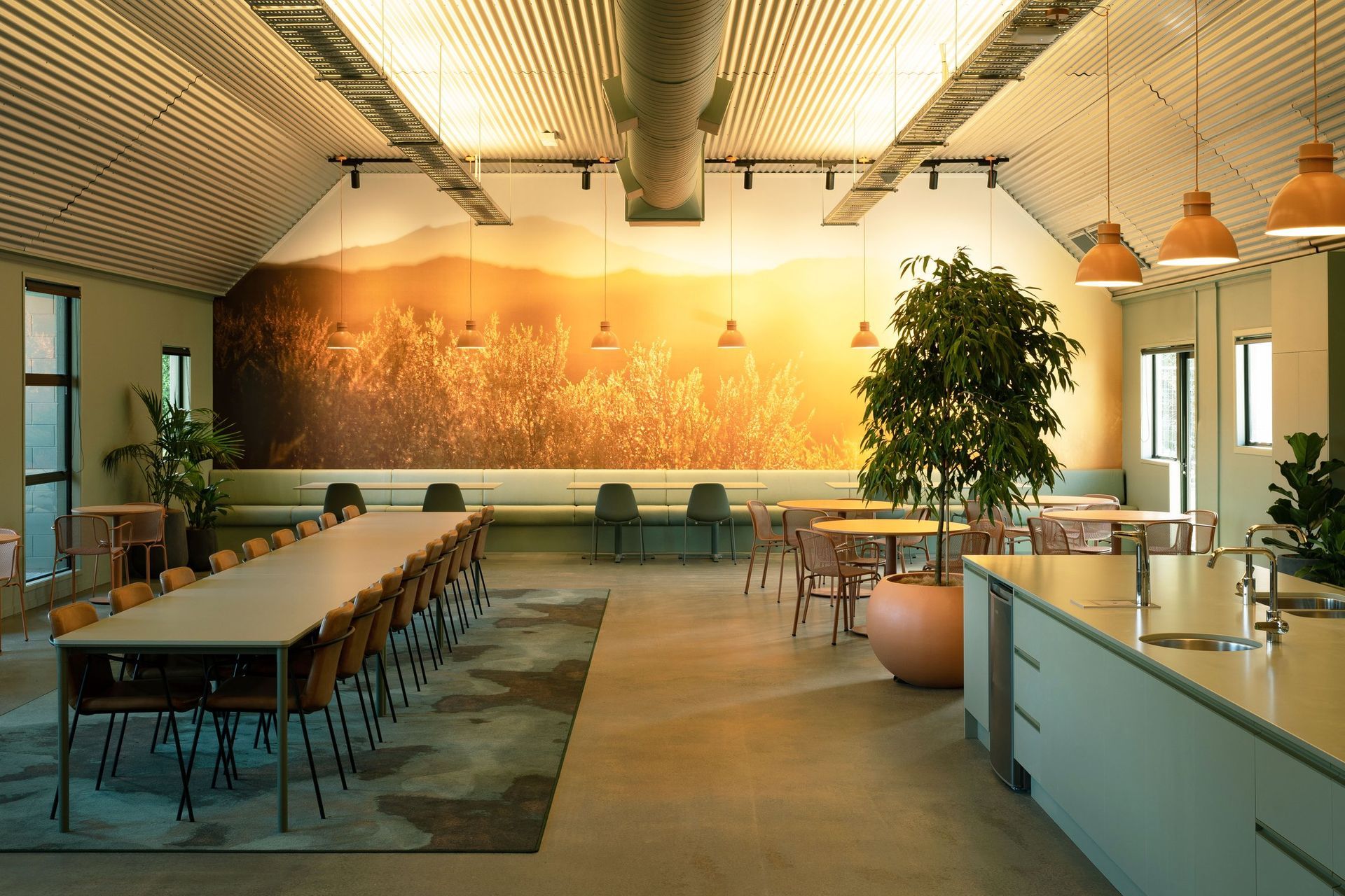 Lunchroomoverallweb-1.jpg