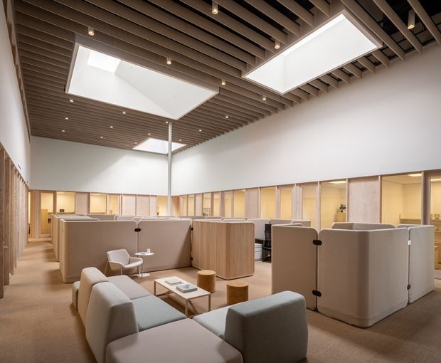 A spacious contemporary open-plan office or collaborative workspace with upholstered acoustic booth partitions, lounge seating, low tables, and warm timber-framed glazed meeting rooms around the perimeter. The room features a high slatted timber ceiling with numerous recessed spotlights and two large rectangular skylights, creating a bright, refined workplace interior.