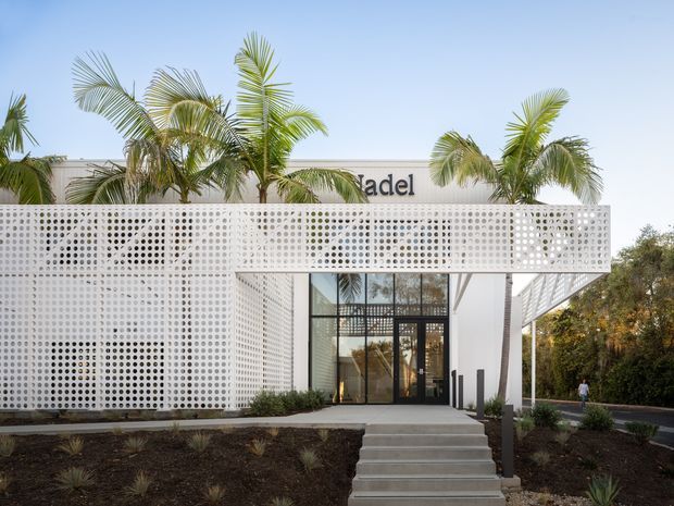 Front exterior of a contemporary commercial building with a white perforated breeze-block screen forming the facade and canopy. A glazed entrance sits centrally beneath the screen, with palm trees integrated behind and around the building, landscaped planting beds, and broad entrance steps. Partial signage is visible on the upper facade.