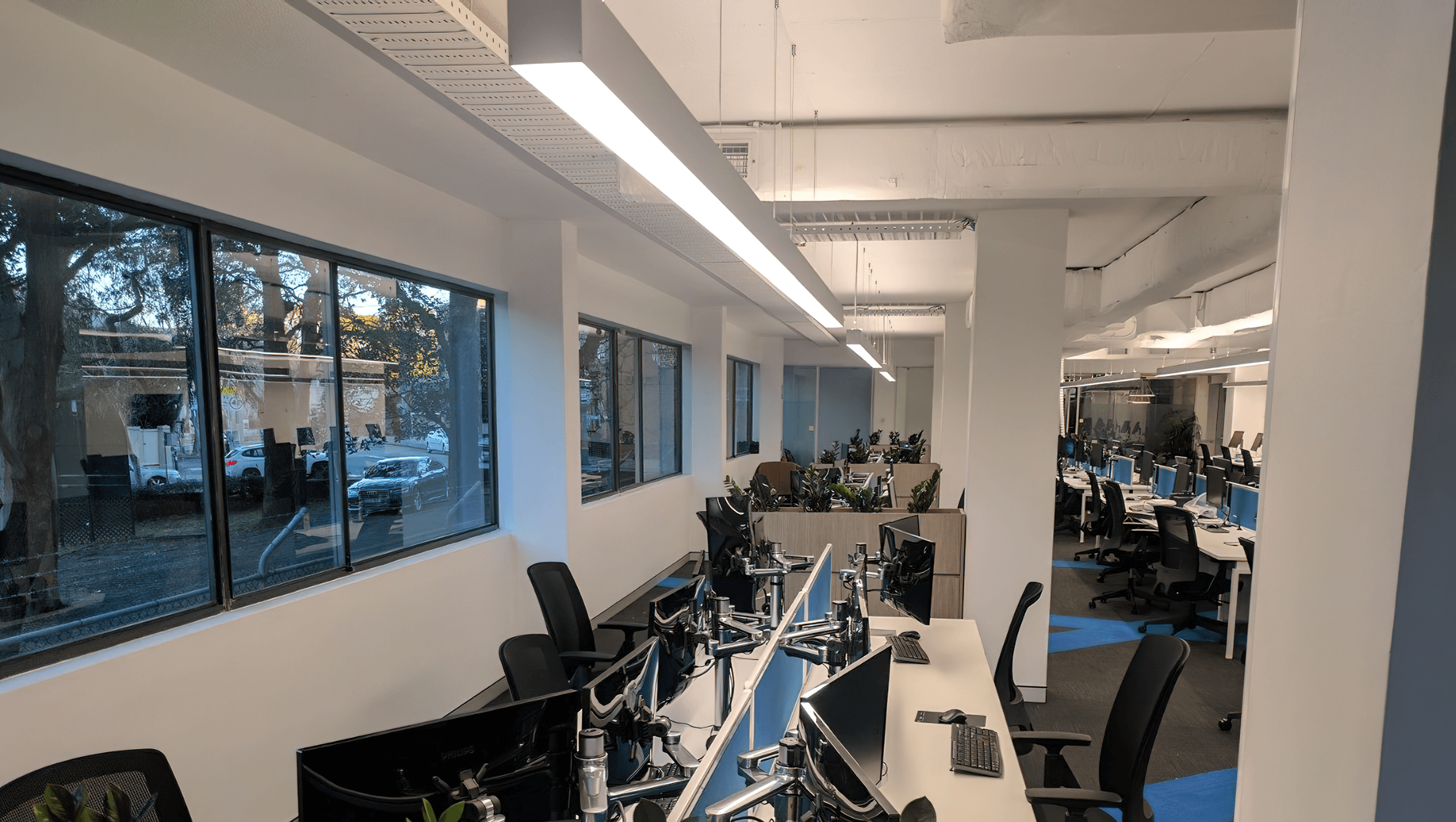 Jensen North Sydney HQ