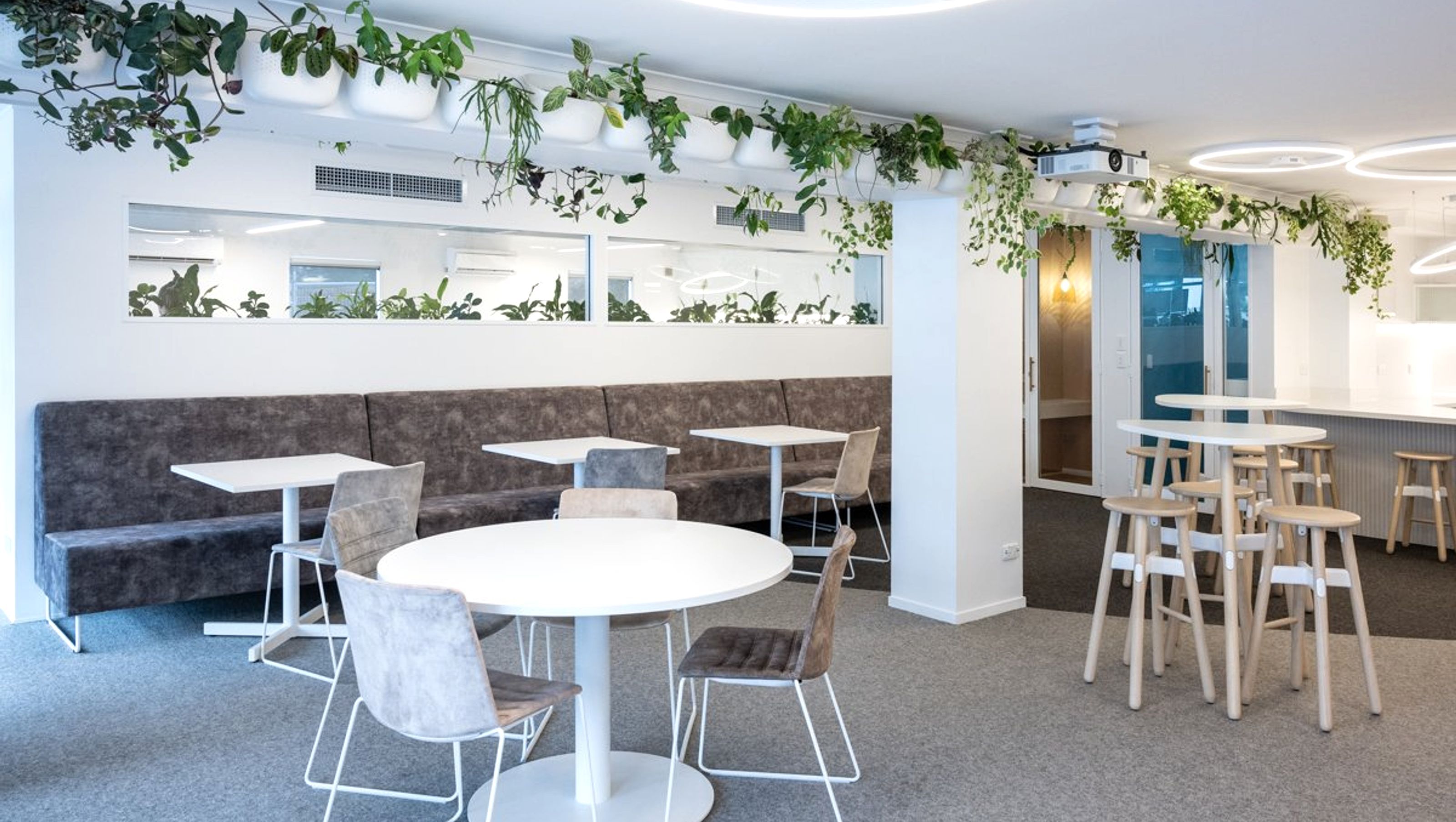 Ray White Papamoa Fitout