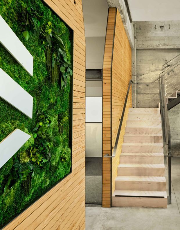 Interior view of a contemporary stairway and landing featuring pale timber slat wall panelling, a raw concrete wall and floor, dark metal stair balustrade, and a prominent lush vertical green wall with white geometric lettering or signage. The composition has an industrial-commercial character with strong material contrast between timber, concrete, metal and planting.