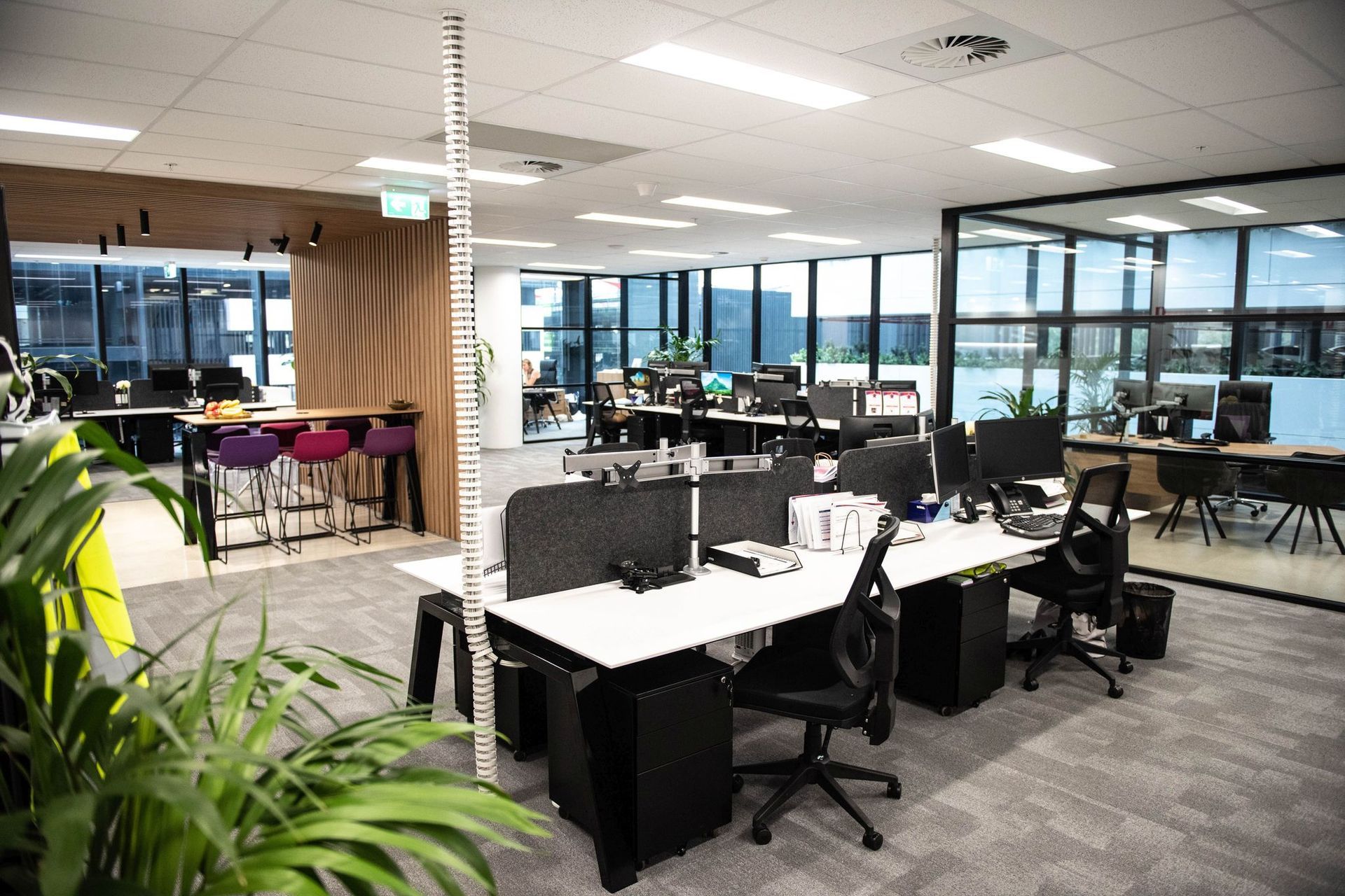 Mascot Office