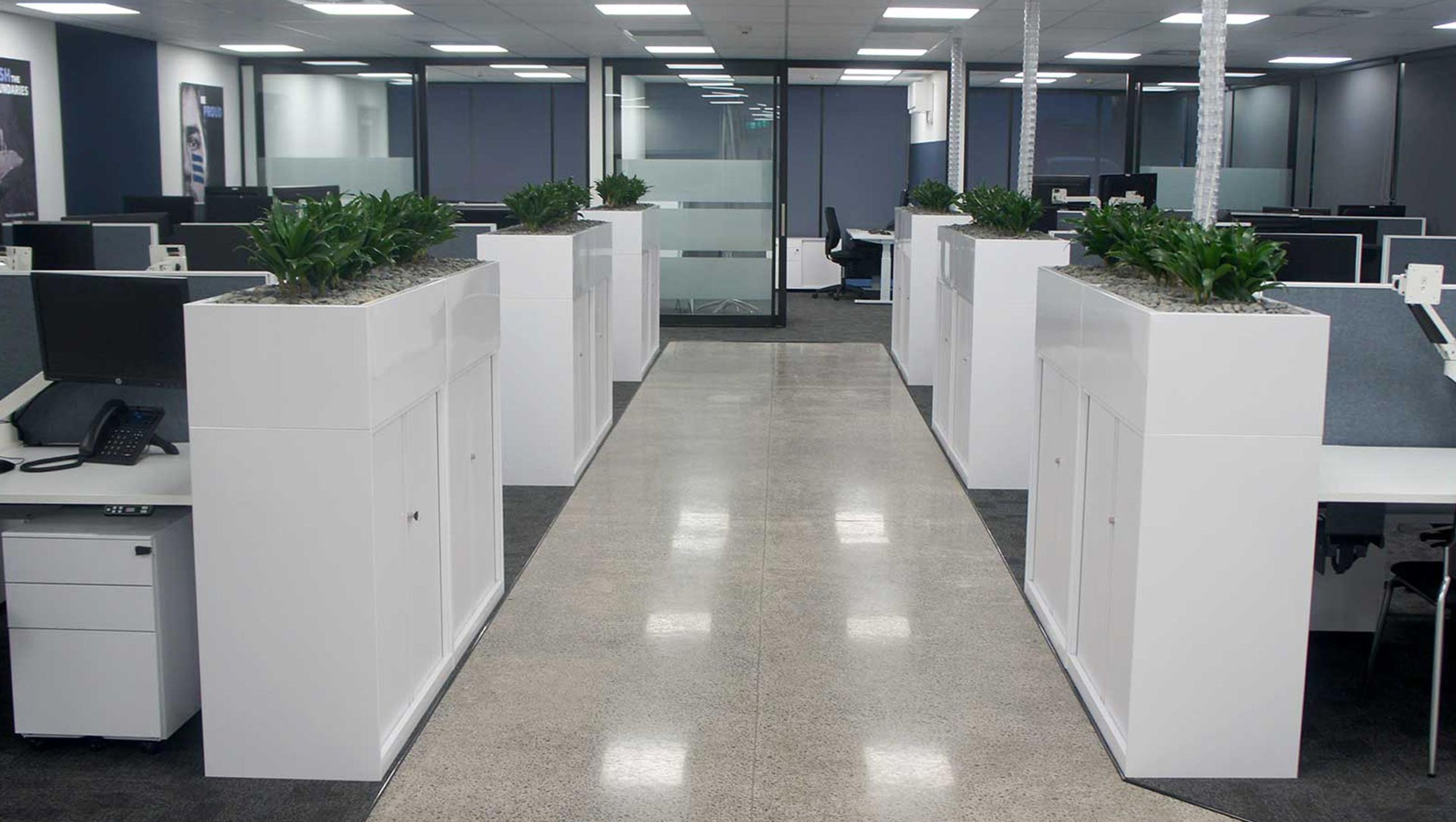 Avondale Office Fit-Out