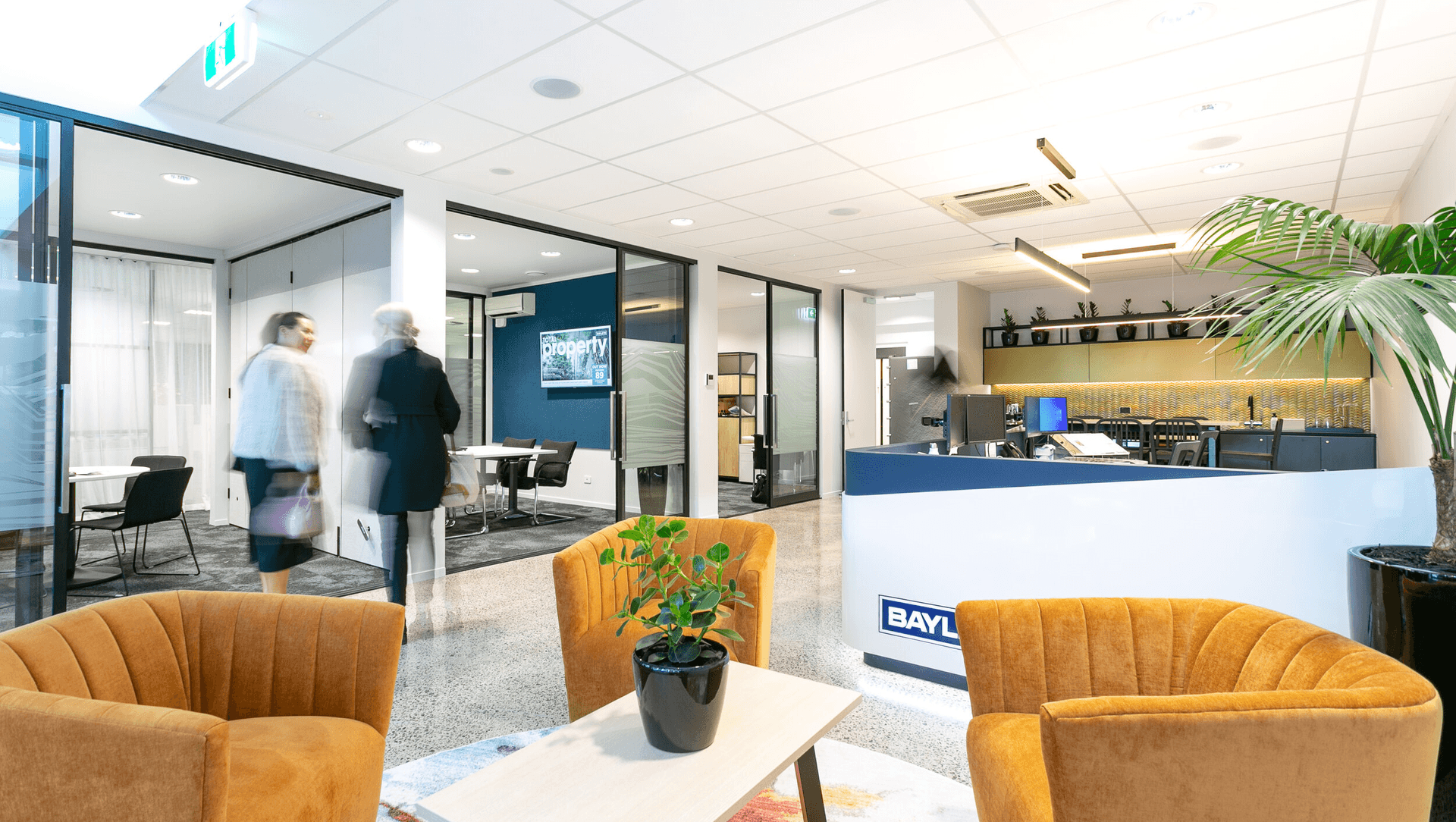 Bayley's | Mt Maunganui banner