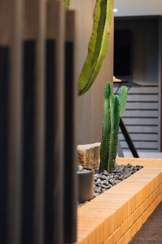 Close-up interior view of a modern stairway or landing featuring a built-in brick planter filled with dark river stones and tall columnar cacti. Warm timber-toned wall panelling and brickwork contrast with dark vertical slats, while a contemporary staircase with grey horizontal elements and black framing is visible in the background.