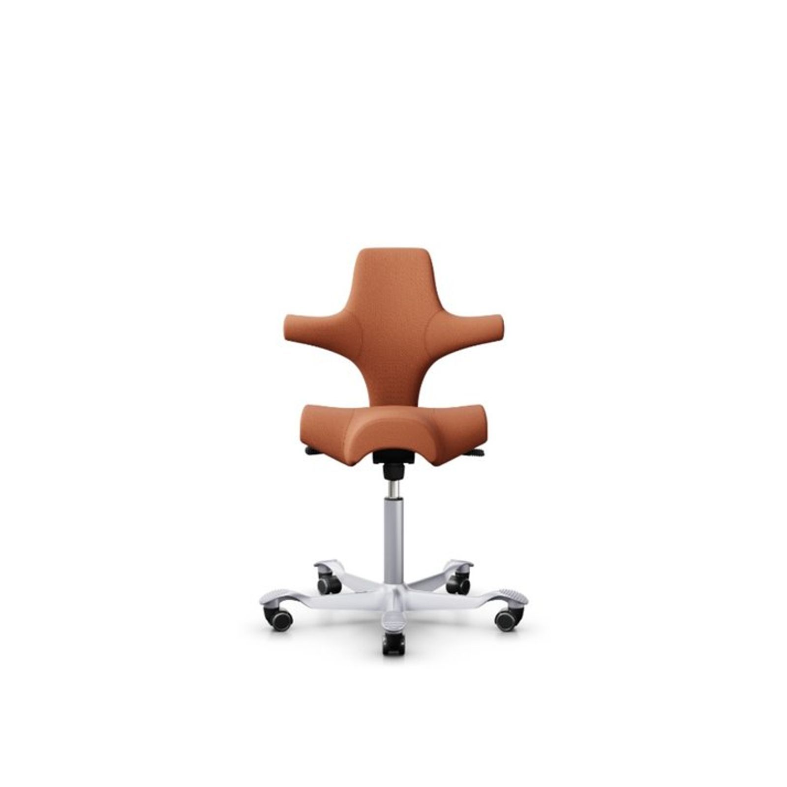 productimage-v76.jpg