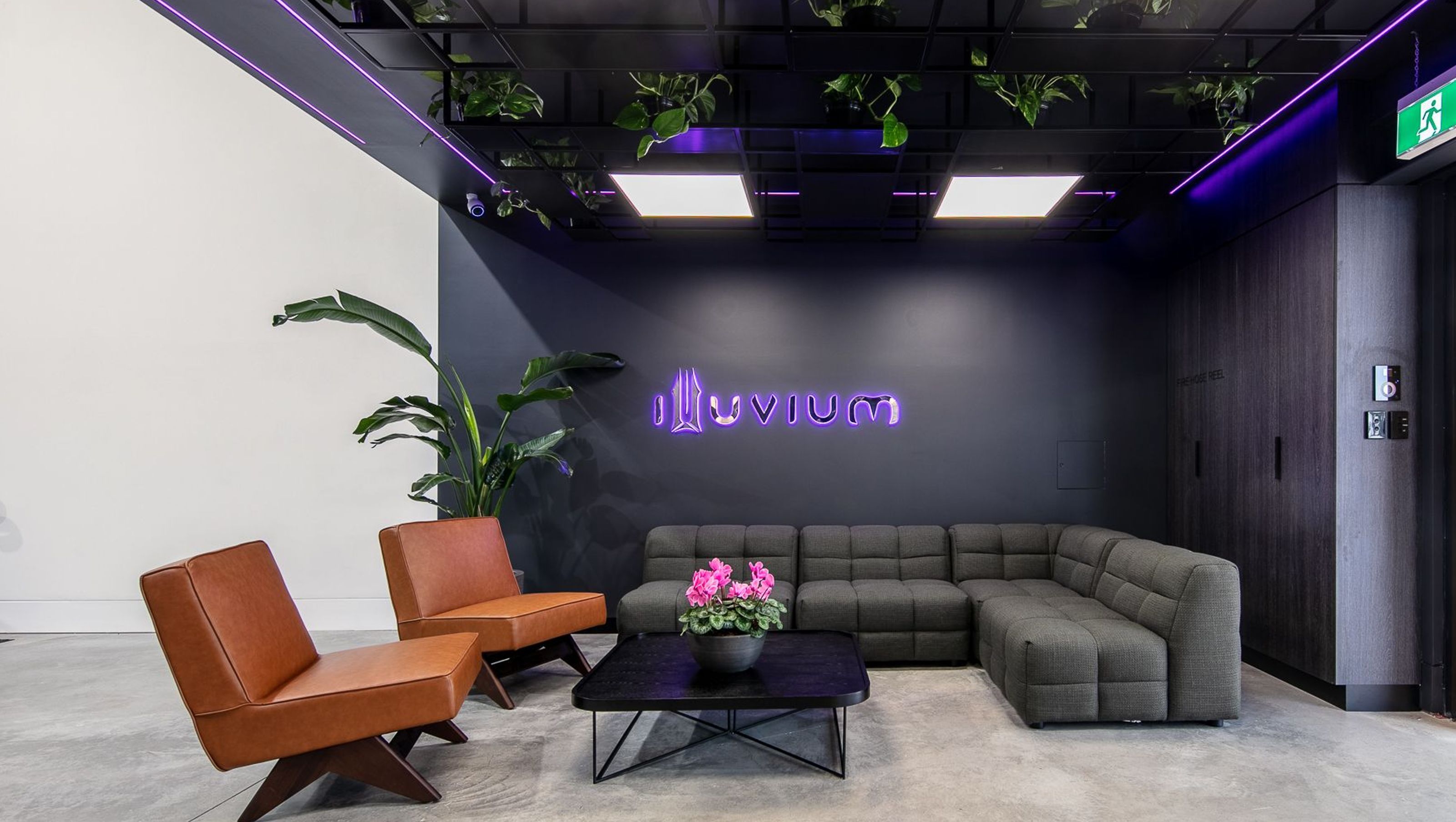 Illuvium Platypus Office