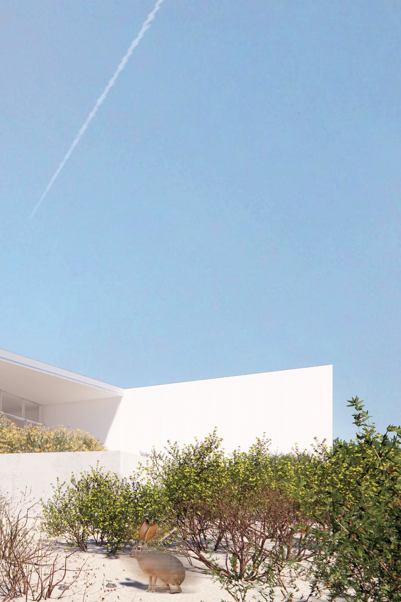 008-casa-ala-blanca-view-from-northeast-v3.jpg