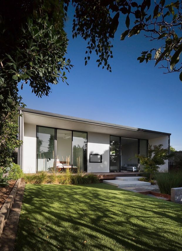 A single-storey modern home viewed from a landscaped front garden. The low, simple roofline and clean white facade are paired with extensive dark-framed glazing, a recessed covered terrace, timber decking, and broad concrete entry steps. Mature leafy planting, ornamental grasses, lawn, and strong tree shadows surround the house under a clear blue sky.