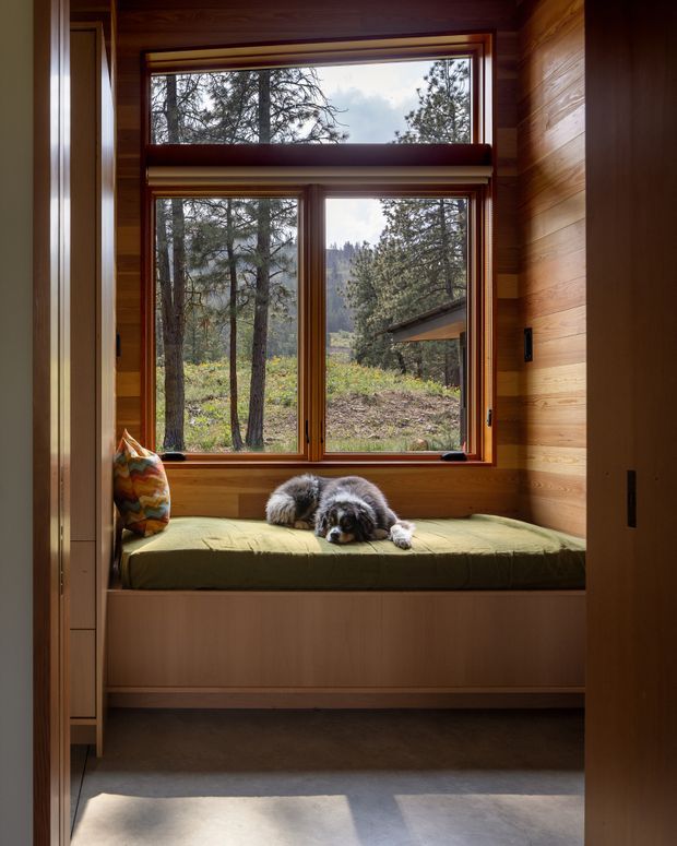 A compact built-in window seat in a warmly timber-lined room, with a green cushion and a dog resting on it. The large timber-framed window overlooks a wooded, mountainous landscape, while built-in cabinetry or door panels frame the space on both sides. Natural light creates a calm, cozy retreat.