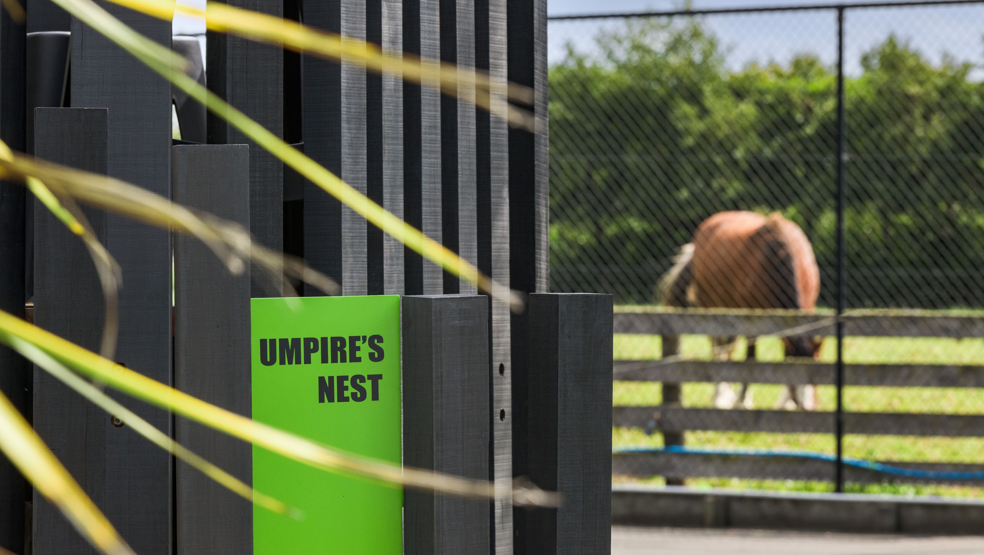 Umpires Nest