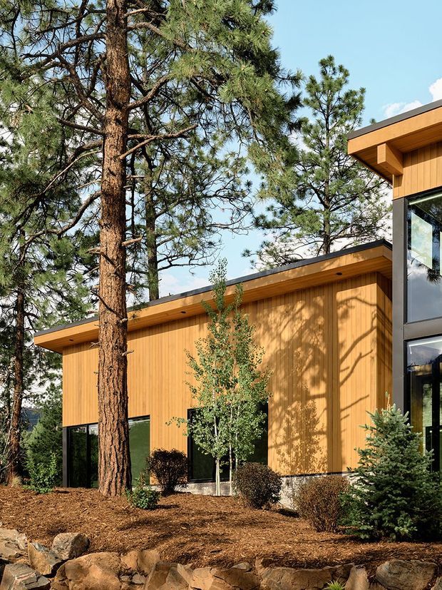 Exterior view of a contemporary low-profile house set among mature pine trees. The building features warm vertical timber cladding, broad roof overhangs, dark-framed floor-to-ceiling glazing, and a landscaped rocky garden bed.