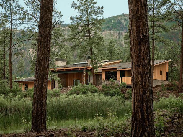 A low, horizontal timber-clad house nestled among mature pine trees and natural grasses, viewed from the surrounding woodland. The building has a contemporary single-storey composition with overlapping shallow-sloped roof planes, deep eaves, extensive glazing, and warm wood detailing. Forested mountains rise in the background, creating a secluded alpine or mountain setting.