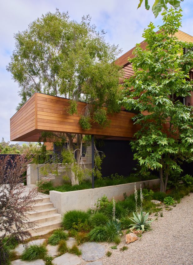 Exterior view of a contemporary timber-clad house set within a landscaped garden. The building features a projecting upper-level box, horizontal warm wood cladding, dark recessed glazing or walls, and a stairway leading through drought-tolerant planting and gravel landscaping.