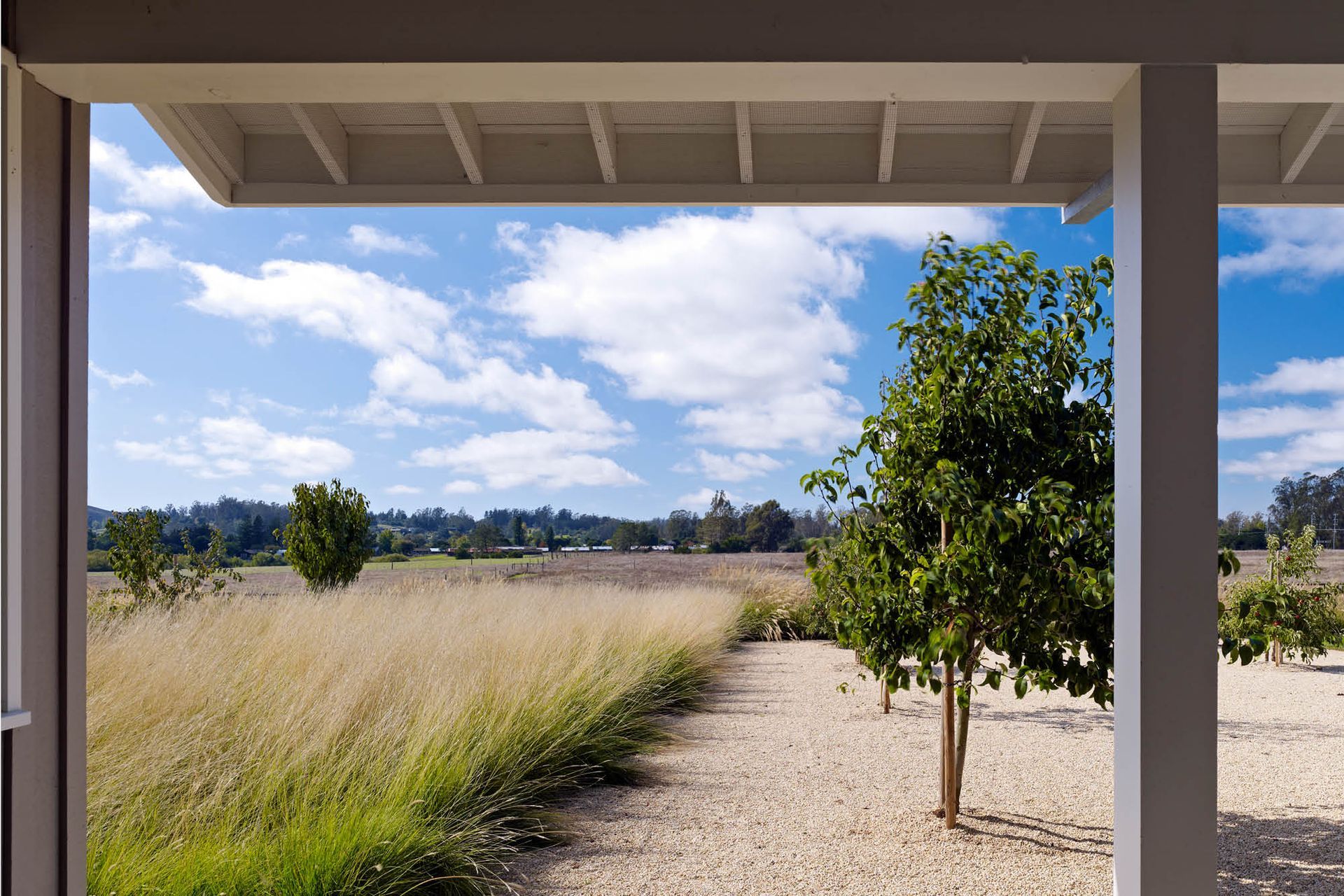 AlderLaneFarm02.jpg