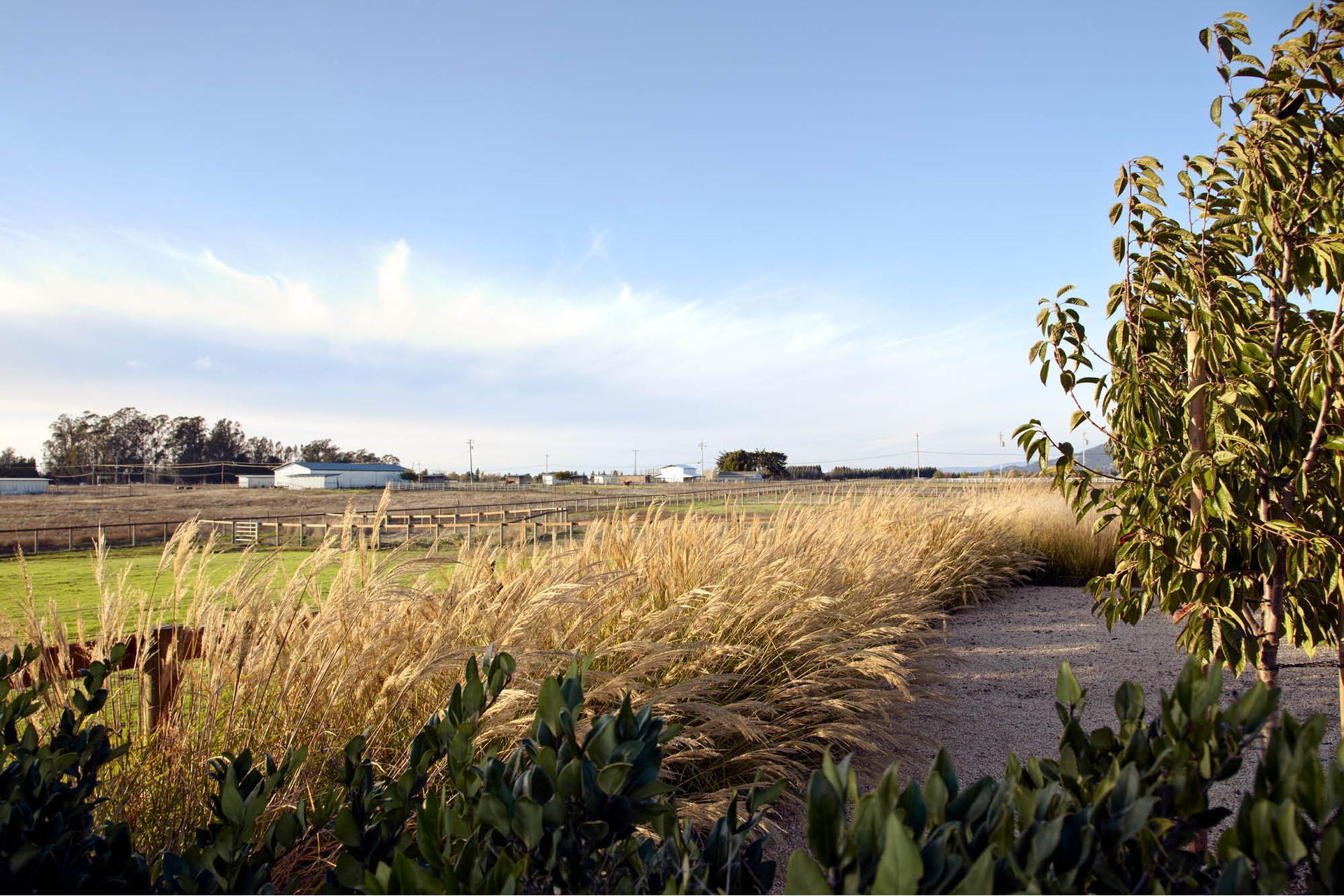 AlderLaneFarm04.jpg