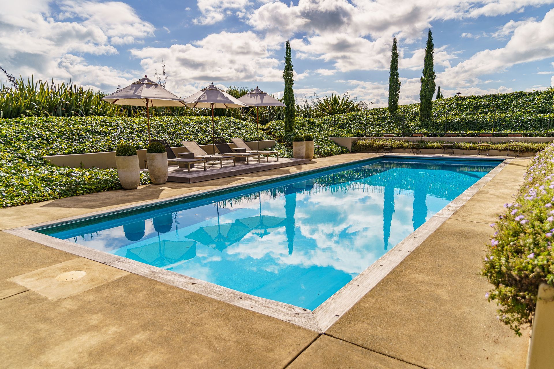 Coastal-Garden-Michael-Farr-Productions-.jpg