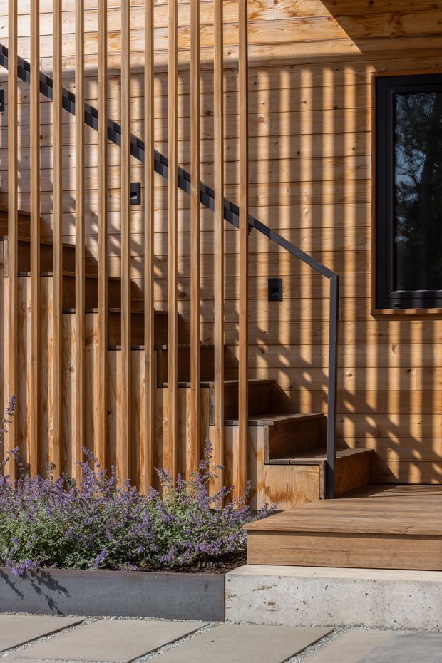 Exterior view of a contemporary timber-clad entry, featuring a wood deck, concrete paving and planter, a compact stair with slim dark metal handrail, vertical timber screening, and a black-framed window. Strong sunlight creates shadows across the warm timber facade.
