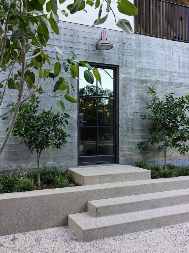 Exterior entrance to a contemporary concrete building, featuring a textured grey concrete-block wall, black-framed glazed door, simple wall-mounted light, upper-level metal balustrade, and broad concrete steps. Small citrus trees and planted grasses soften the minimalist facade.